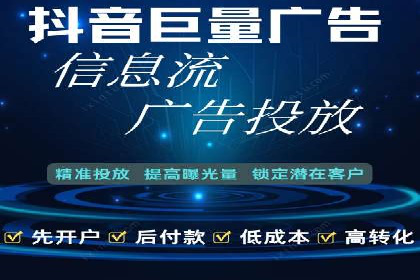 竞价广告策略案例分析